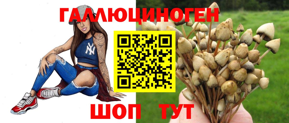 Псилоцибиновые грибы прущие грибы  закладка  Сухой Лог  Вход с VPN 